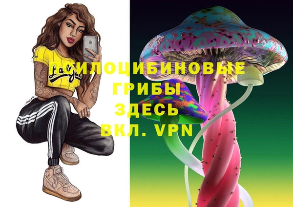 ECSTASY Балахна